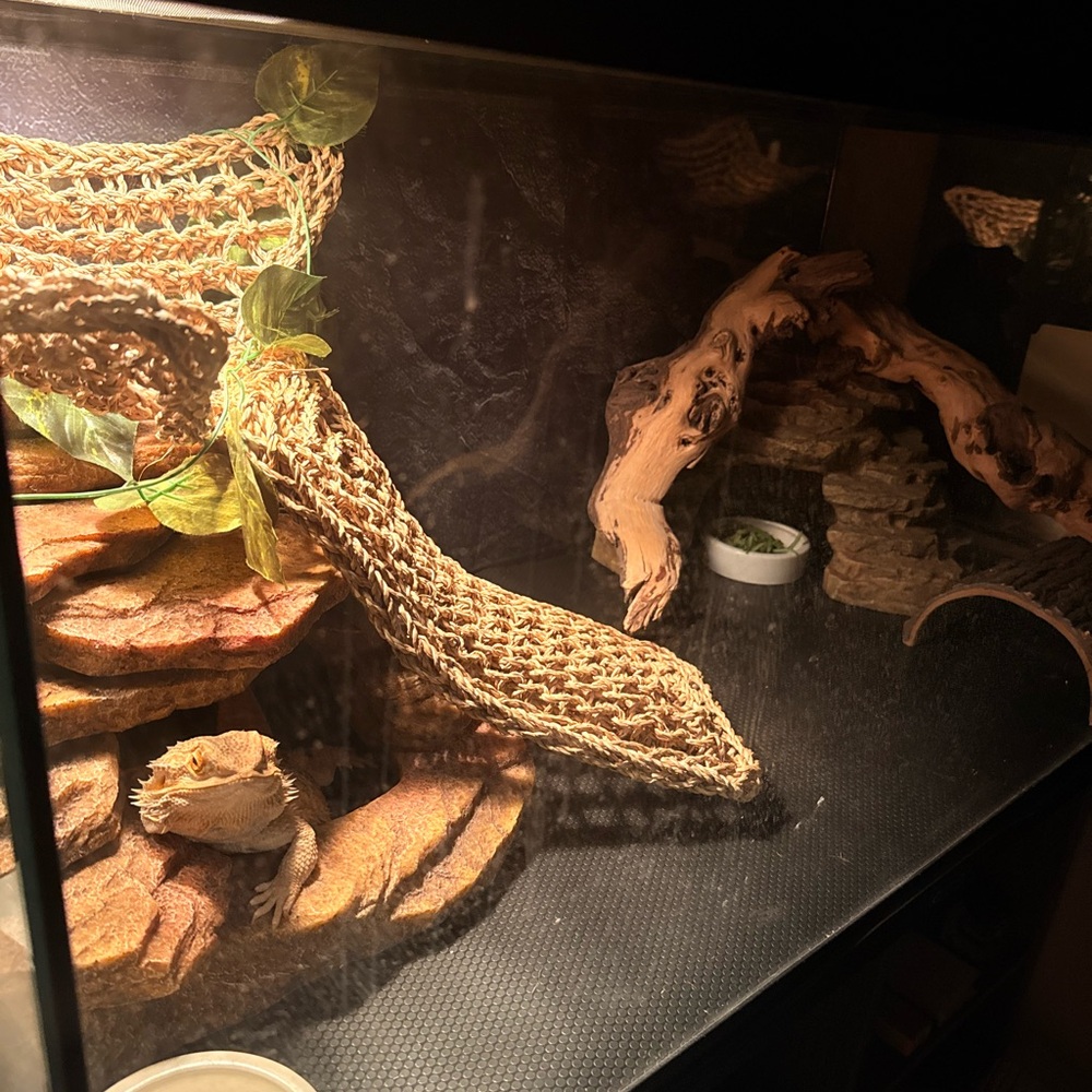 Natural Tan Reptile Habitat Decor